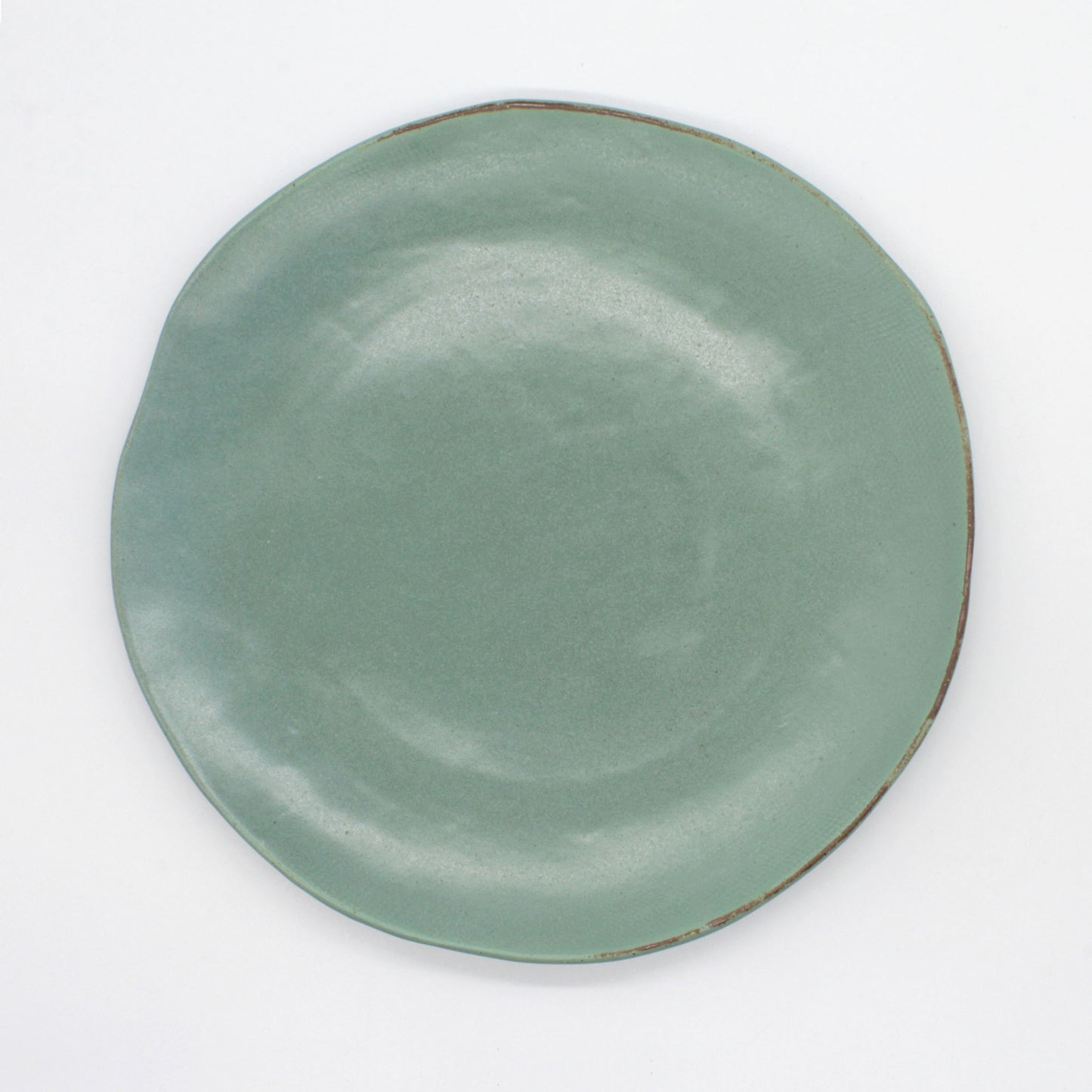 Overhead view of dinner plate from our Paetai collection.