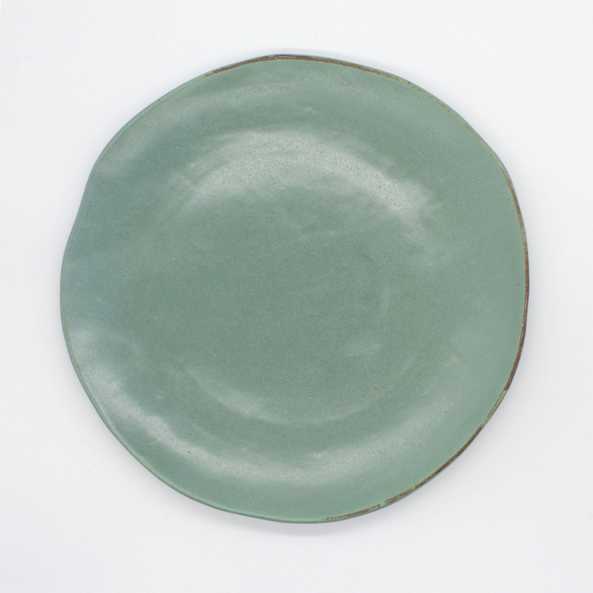 Overhead view of dinner plate from our Paetai collection.